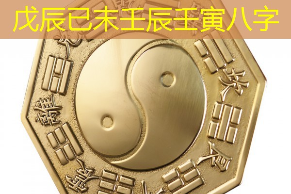  戊辰已末壬辰壬寅八字