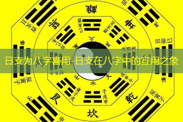  日支为八字喜用-日支在八字中的宜用之象