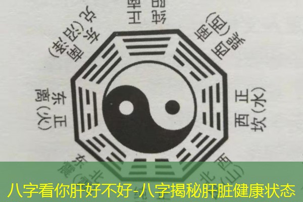  八字看你肝好不好-八字揭秘肝脏健康状态