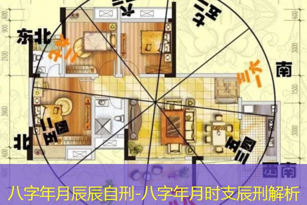  八字年月辰辰自刑-八字年月时支辰刑解析