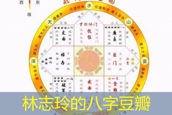  林志玲的八字豆瓣