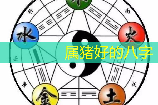  属猪好的八字