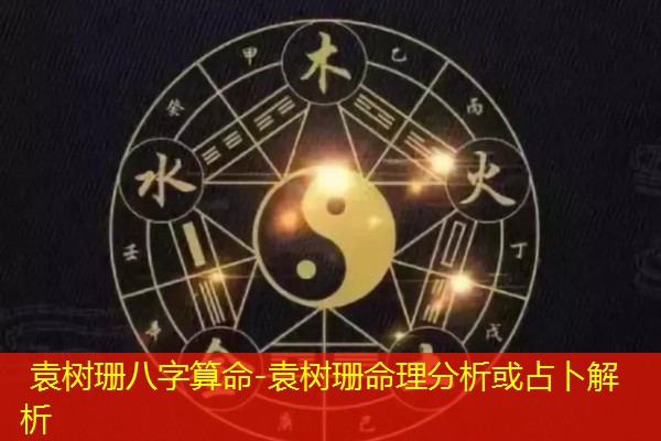  袁树珊八字算命-袁树珊命理分析或占卜解析