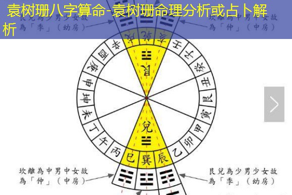  袁树珊八字算命-袁树珊命理分析或占卜解析