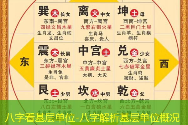  八字看基层单位-八字解析基层单位概况