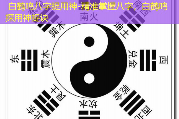  白鹤鸣八字捉用神-精准掌握八字，白鹤鸣探用神捉诀