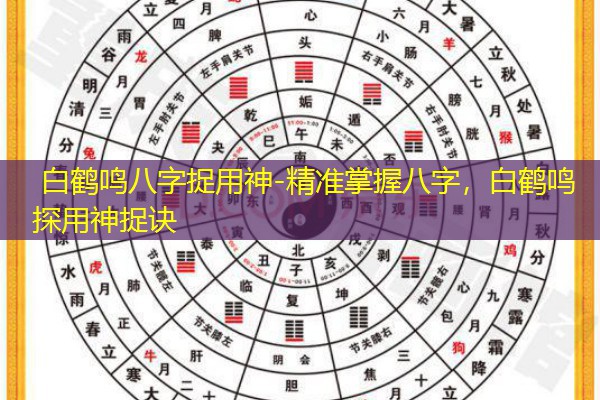  白鹤鸣八字捉用神-精准掌握八字，白鹤鸣探用神捉诀