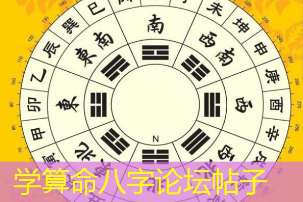  学算命八字论坛帖子