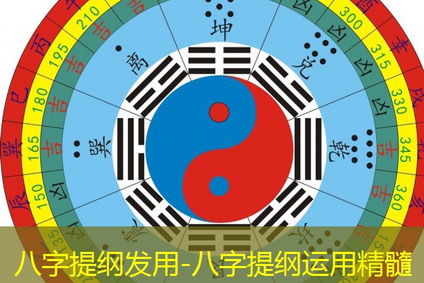  八字提纲发用-八字提纲运用精髓