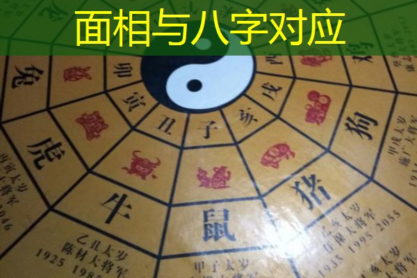  面相与八字对应