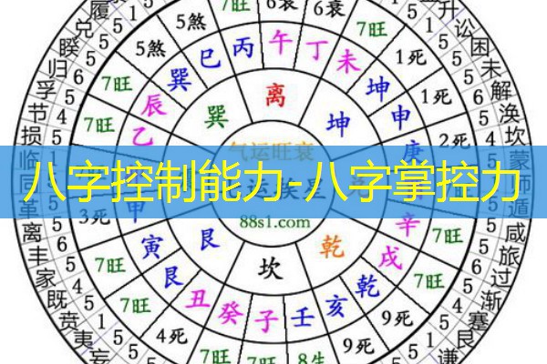  八字控制能力-八字掌控力