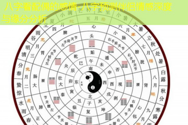  八字看配偶的感情-八字预测伴侣情感深度与缘分分析