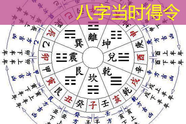  八字当时得令