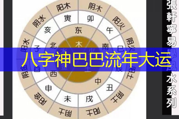  八字神巴巴流年大运