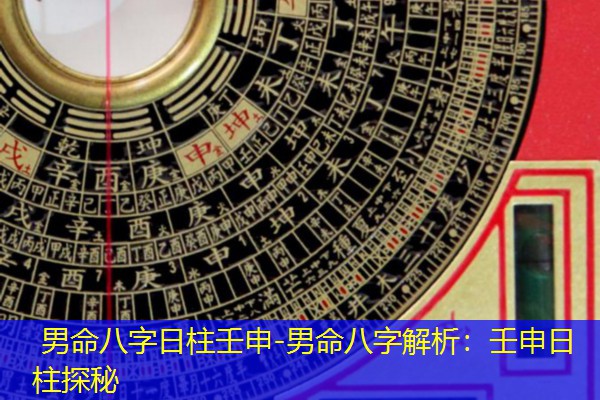  男命八字日柱壬申-男命八字解析：壬申日柱探秘
