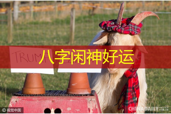  八字闲神好运