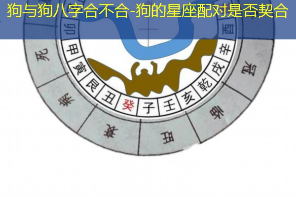  狗与狗八字合不合-狗的星座配对是否契合