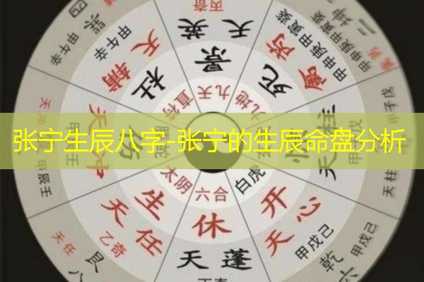  张宁生辰八字-张宁的生辰命盘分析