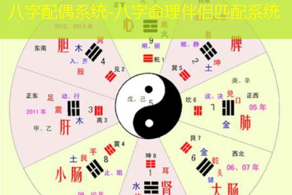  八字配偶系统-八字命理伴侣匹配系统
