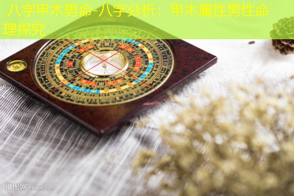  八字甲木男命-八字分析：甲木属性男性命理探究