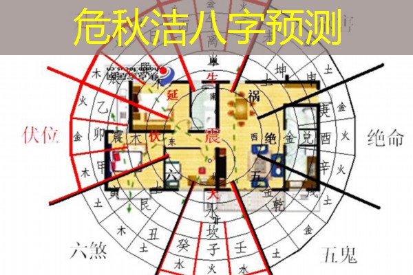  危秋洁八字预测