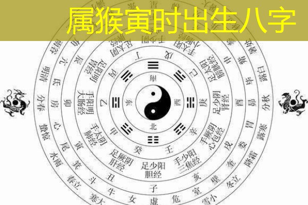  属猴寅时出生八字