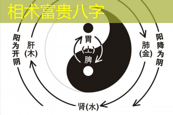  相术富贵八字