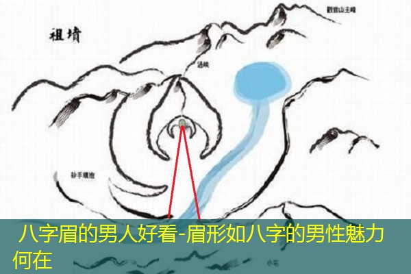  八字眉的男人好看-眉形如八字的男性魅力何在