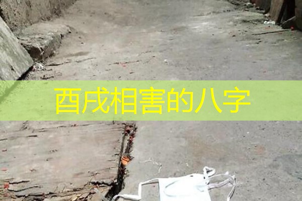  酉戌相害的八字