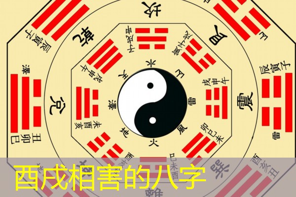  酉戌相害的八字