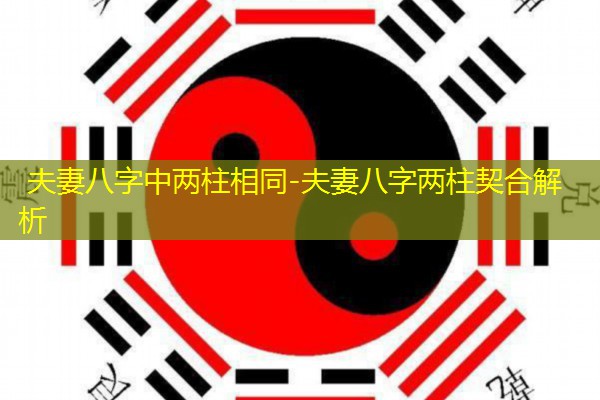  夫妻八字中两柱相同-夫妻八字两柱契合解析