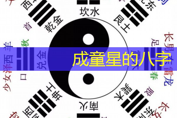  成童星的八字