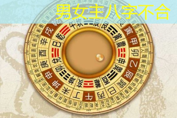 男女主八字不合