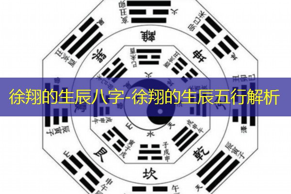  徐翔的生辰八字-徐翔的生辰五行解析