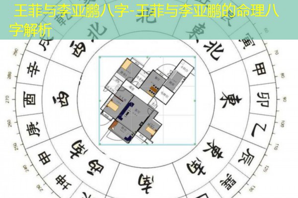  王菲与李亚鹏八字-王菲与李亚鹏的命理八字解析