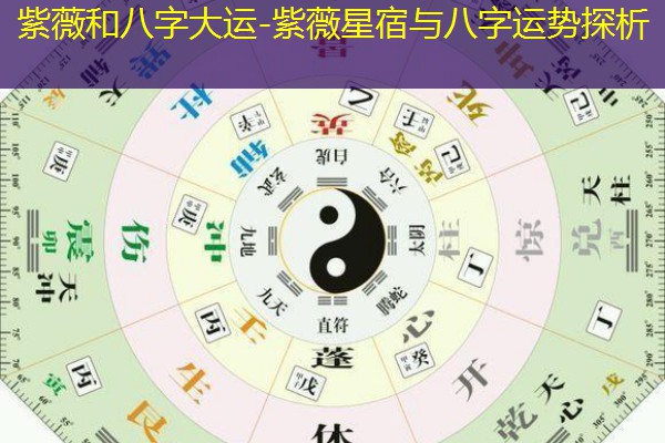  紫薇和八字大运-紫薇星宿与八字运势探析