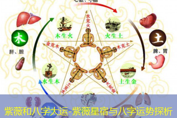  紫薇和八字大运-紫薇星宿与八字运势探析