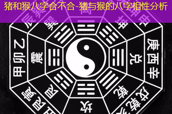  猪和猴八字合不合-猪与猴的八字相性分析