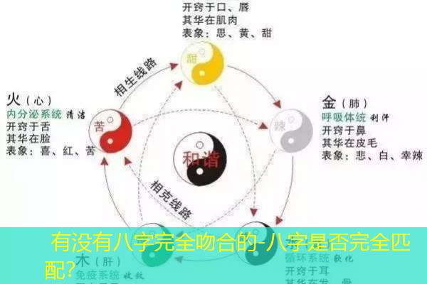  有没有八字完全吻合的-八字是否完全匹配？