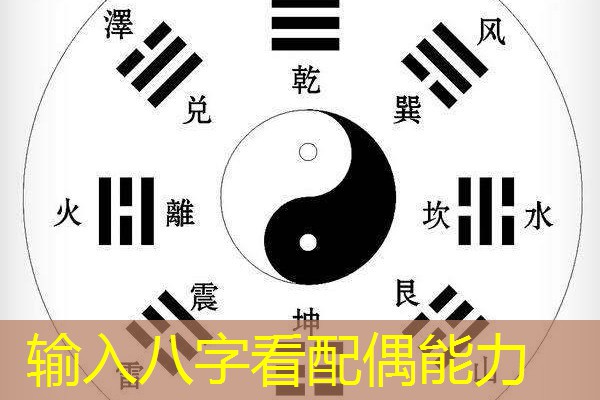  输入八字看配偶能力