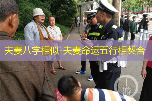  夫妻八字相似-夫妻命运五行相契合