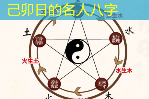  己卯日的名人八字