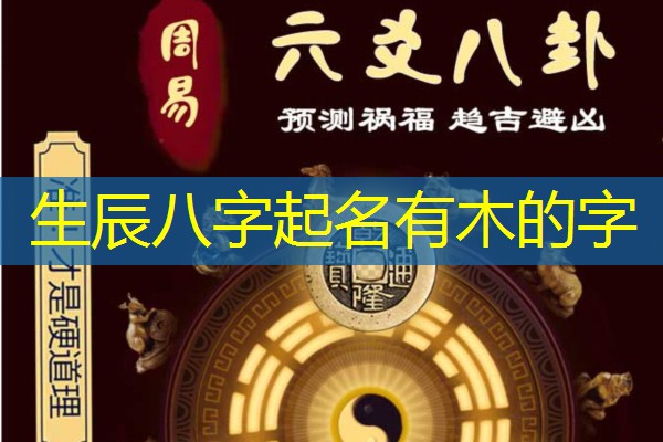  生辰八字起名有木的字