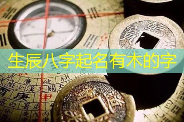  生辰八字起名有木的字