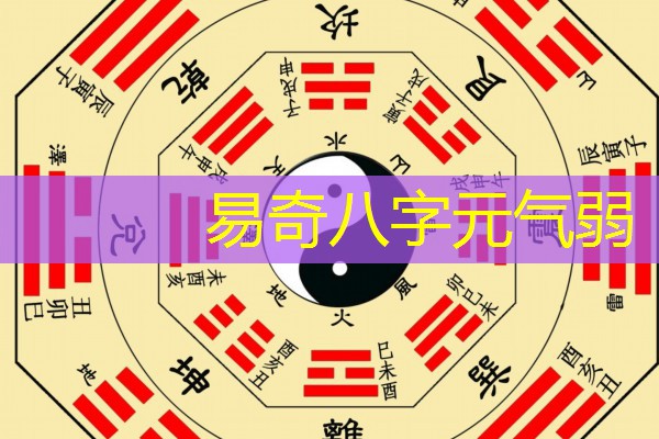  易奇八字元气弱