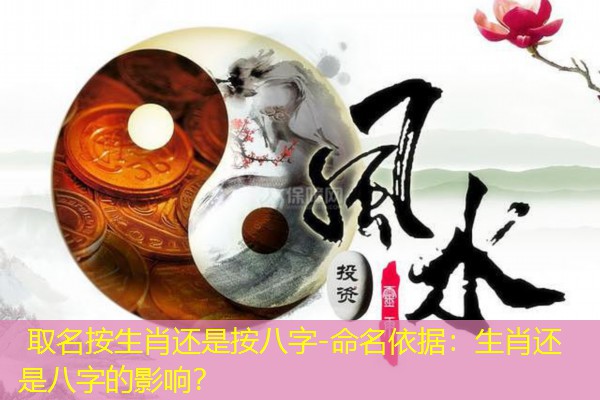  取名按生肖还是按八字-命名依据：生肖还是八字的影响？