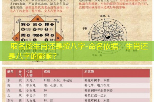  取名按生肖还是按八字-命名依据：生肖还是八字的影响？