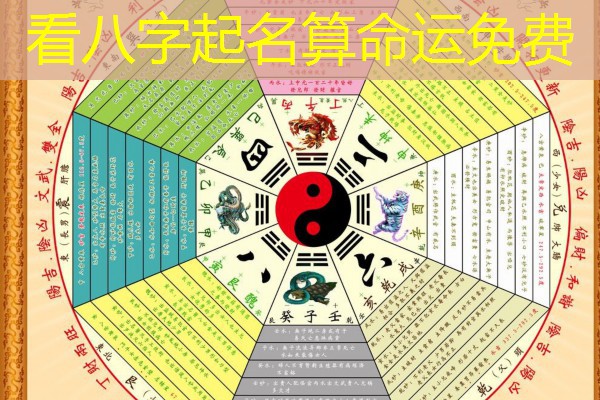  看八字起名算命运免费