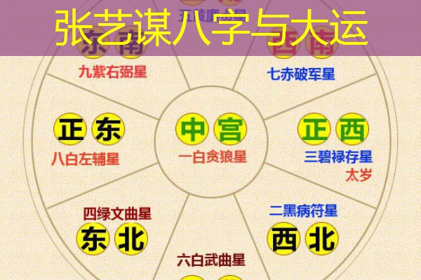  张艺谋八字与大运