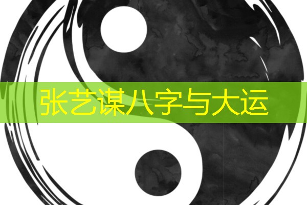  张艺谋八字与大运